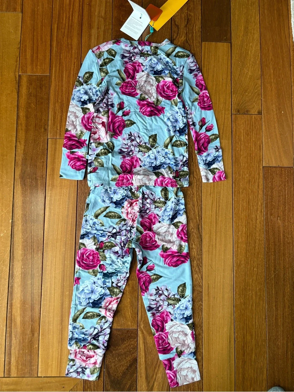 NWT POSH PEANUT Girls Pajama Set - Blue with Pink Rose Print